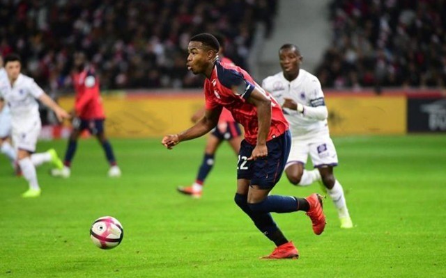 兼具创造力 兼具创造力