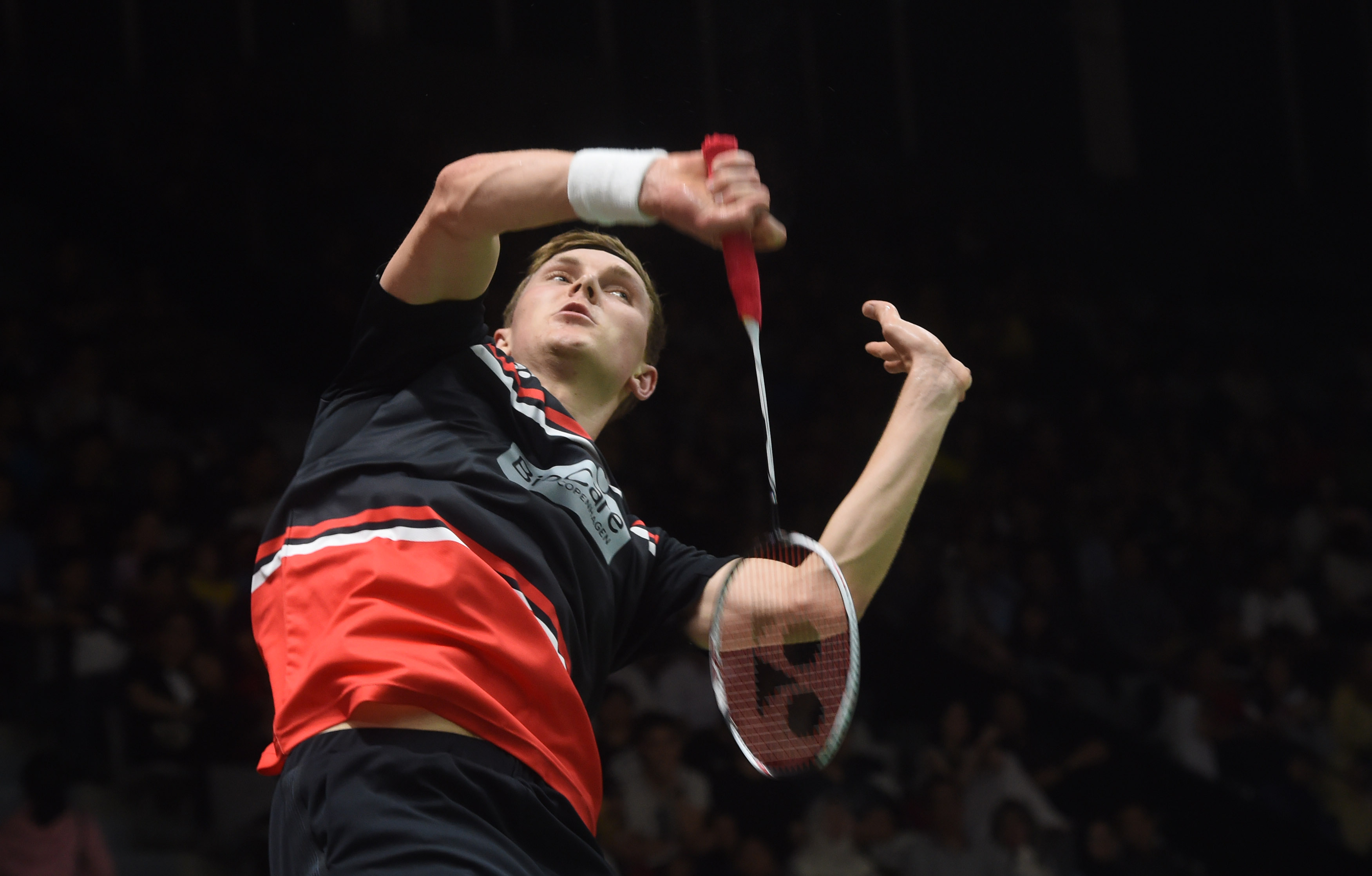 球队的精心 球队的精心